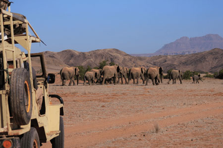 Elephant Conservation and Community Outreach Programme