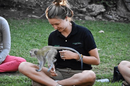 View details of the Primate Conservation and Wildlife Sanctuary Programme