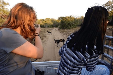 Endangered Wildlife Conservation Programme South Africa