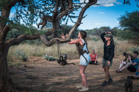 Wildlife Sanctuary Programme in Namibia