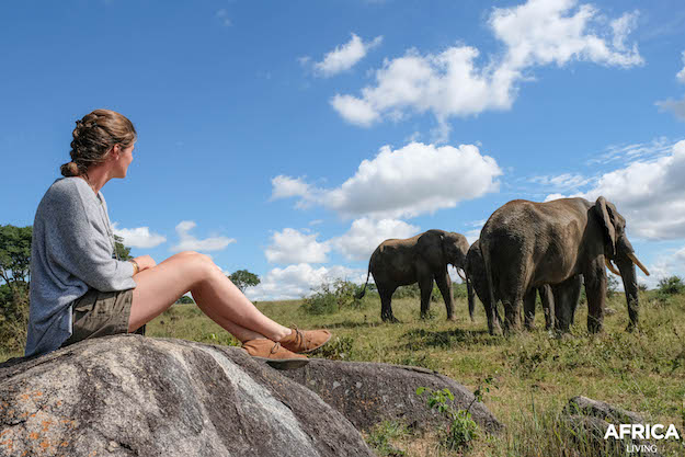 wildlife conservation volunteer opportunities to help elephants at wildlife sanctuary