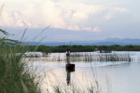 Environmental Conservation Program header thumb