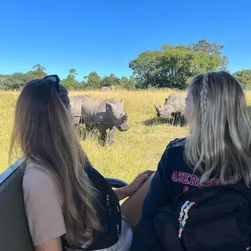 View our conservation volunteer programs